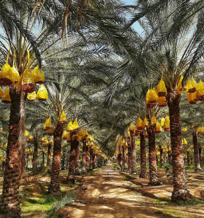 لافتة المتجر